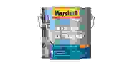 Грунт-эмаль Anticorr Aqua Marshall