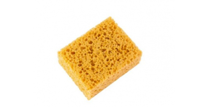 Губка крупнопористая